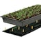 Ipower 2-Pack 10" x 20.5" Warm Hydroponic Seedling Heat Mat w/ Durable Waterproof Design, 2PK GLHTMTCTRLHTMTSX2 - alternate 6